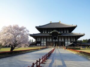 東大寺大仏殿_桜