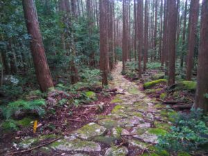 熊野古道八鬼山道