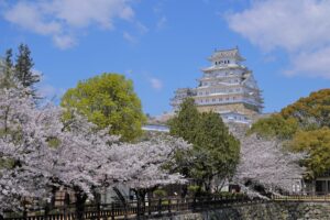 満開の桜と姫路城