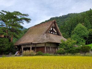 白川郷の合掌造り