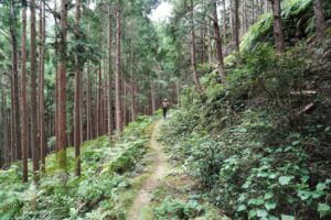 熊野古道　逢神峠道