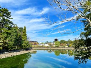 興福寺 五重塔 ／奈良の風景