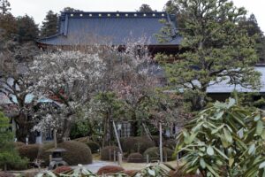 輪王寺の逍遥園