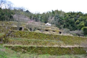 石見銀山の清水谷製錬所跡