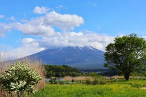 ５月上旬の河口湖大石公園からの富士山