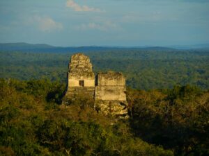 ティカル国立公園の全景、古代遺跡が自然環境に溶け込んだ風景。