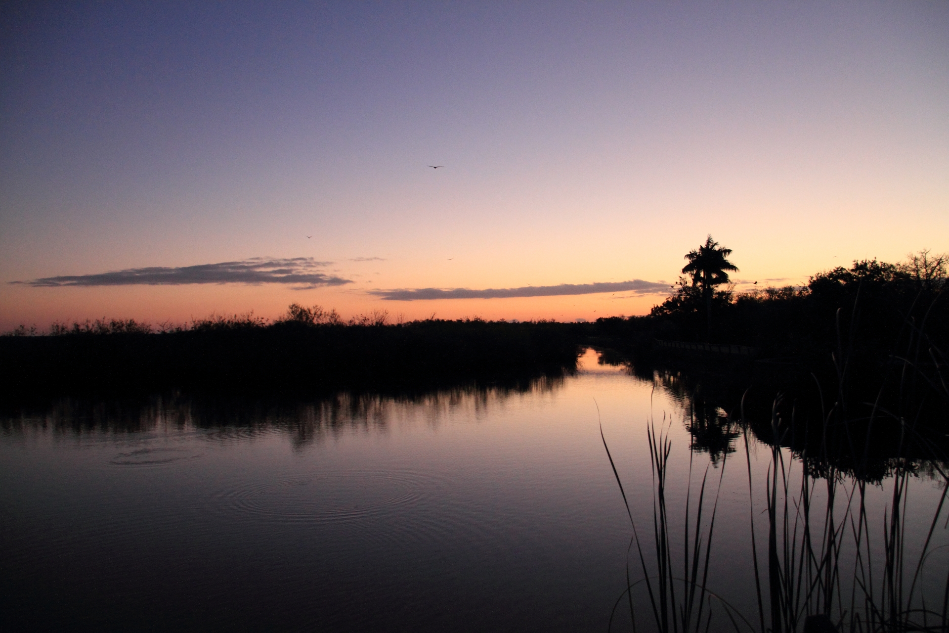 エバー グレーズ 国立 公園の夕景。水面に映る夕焼けが幻想的な雰囲気を作り出している