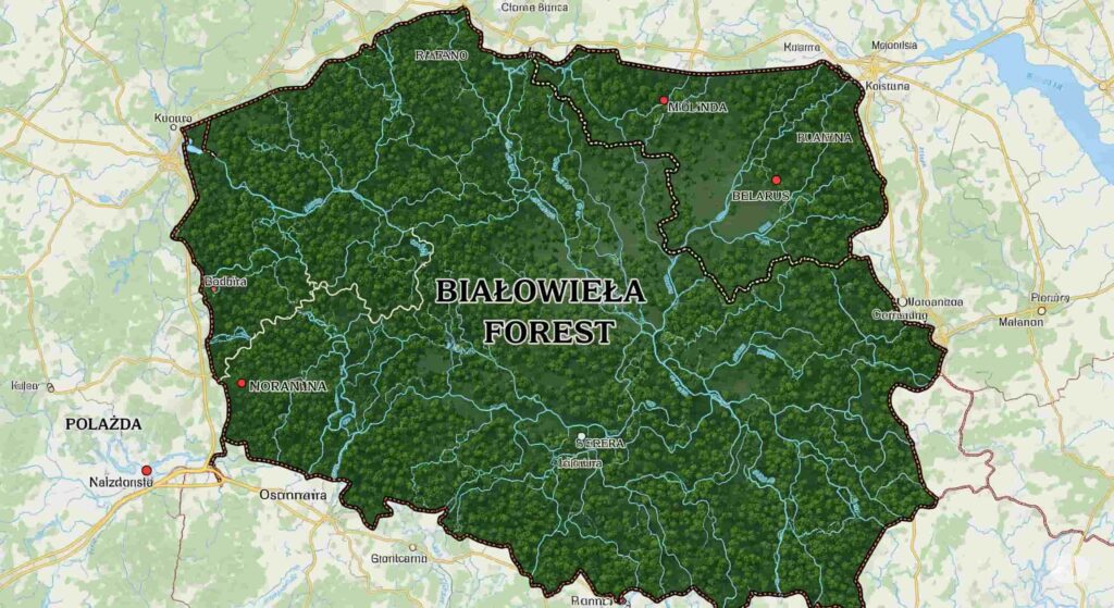ポーランドとベラルーシの国境に広がるビャウォヴィエジャの森を示す地図イラスト
