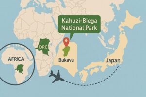 コンゴ民主共和国にあるカフジ＝ビエガ国立公園の地図とアクセスルートを表したイメージ（AI生成）