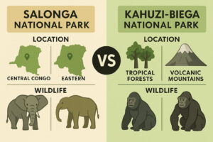 サロンガ国立公園とカフジ＝ビエガ国立公園の違いを比較する図解イラスト（AI生成）